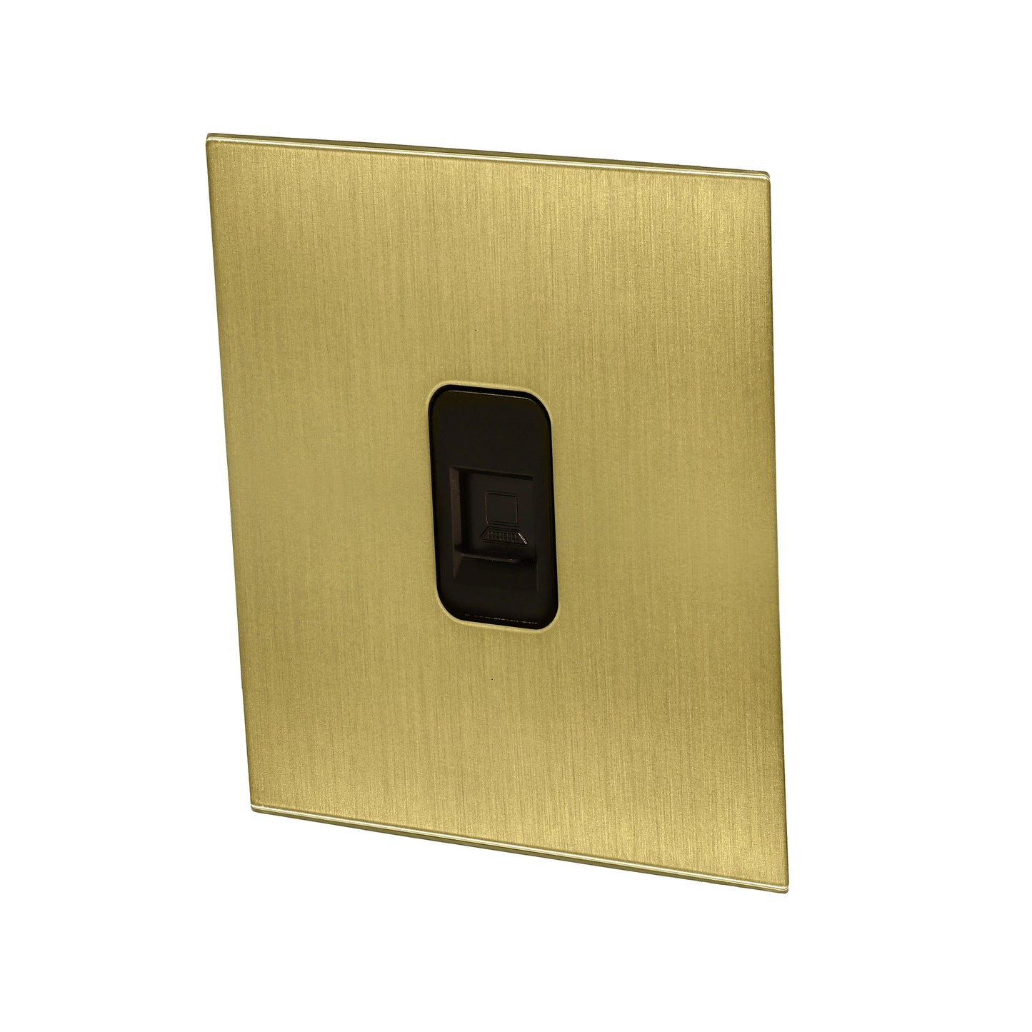 Computer Socket – (RJ45/CAT6) – Stainless Steel