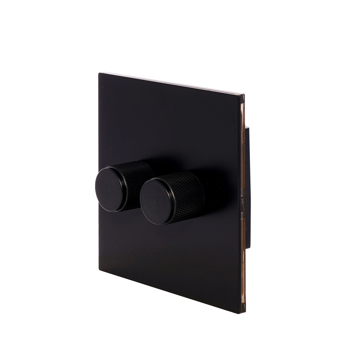 Double Light Dimmer – 2 x 500W Each – Stainless Steel